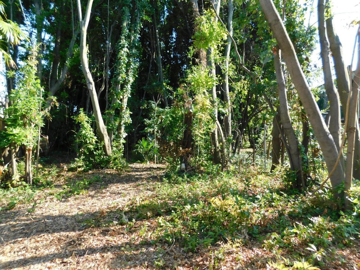 Appartamento Con Piscina Immersa Nel Verde Cascina Exterior foto
