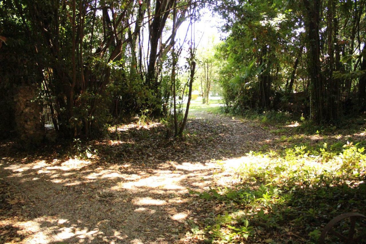 Appartamento Con Piscina Immersa Nel Verde Cascina Exterior foto